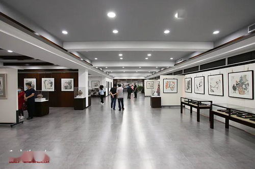 以艺抗疫 心融万象 孔宪江水墨画展在天津市宝坻区一江美术馆开幕