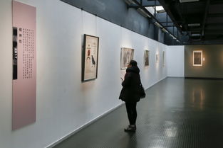 中国高等美术院校基础教学研讨会暨纸本绘画作品展在我校成功举办