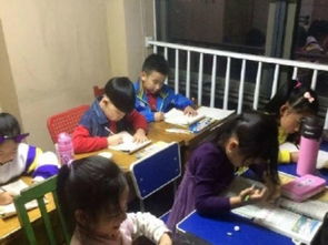 图 鼓楼龙亭 思迪 书法 美术 油画 小提琴 钢琴培训 天津文体培训