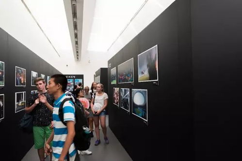 这么多人直奔天津美术馆四楼展区,到底为啥 神秘面纱 今日揭开